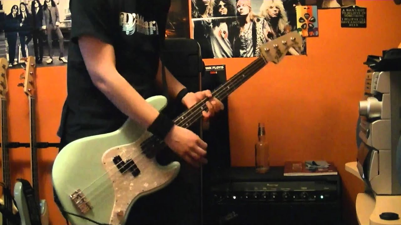 Blink 182 Roller Coaster Bass Cover On New Fender Mark Hoppus Bass 2011