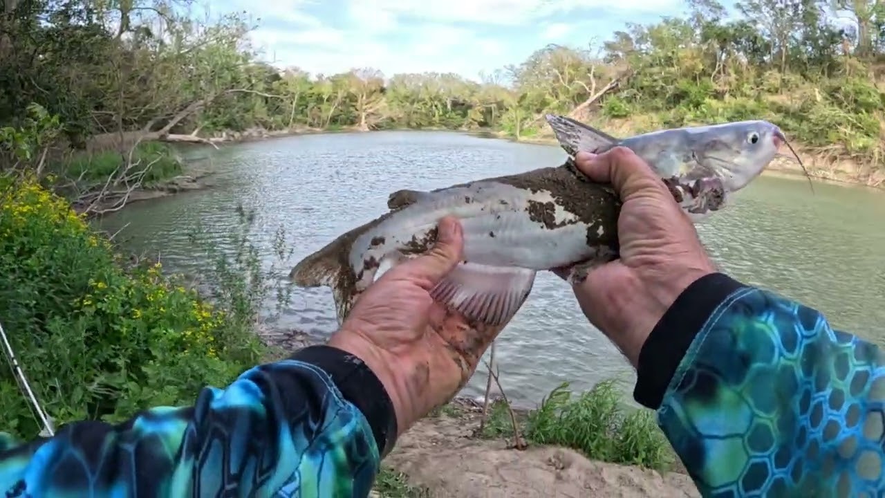 Pesca de BAGRES y MOJARRAS|explorando Nuevos lugares