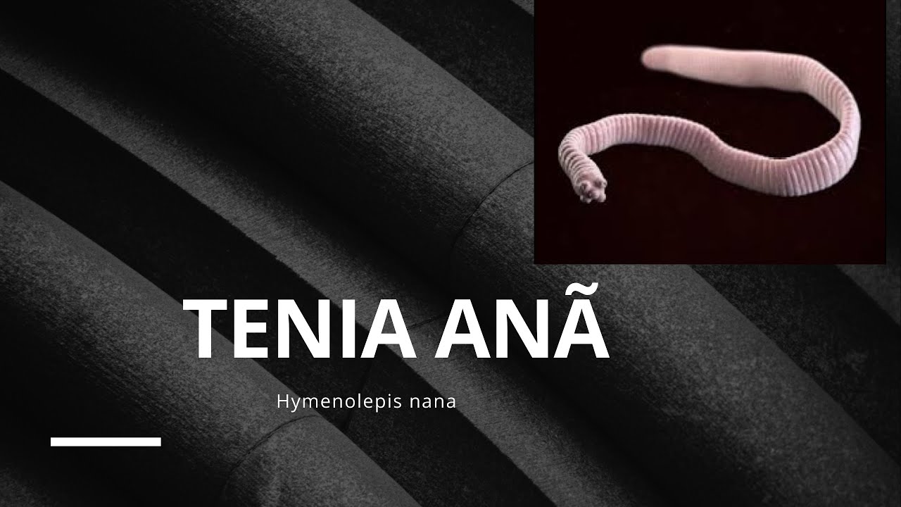 Tenia Anã (Hymenolepis nana)