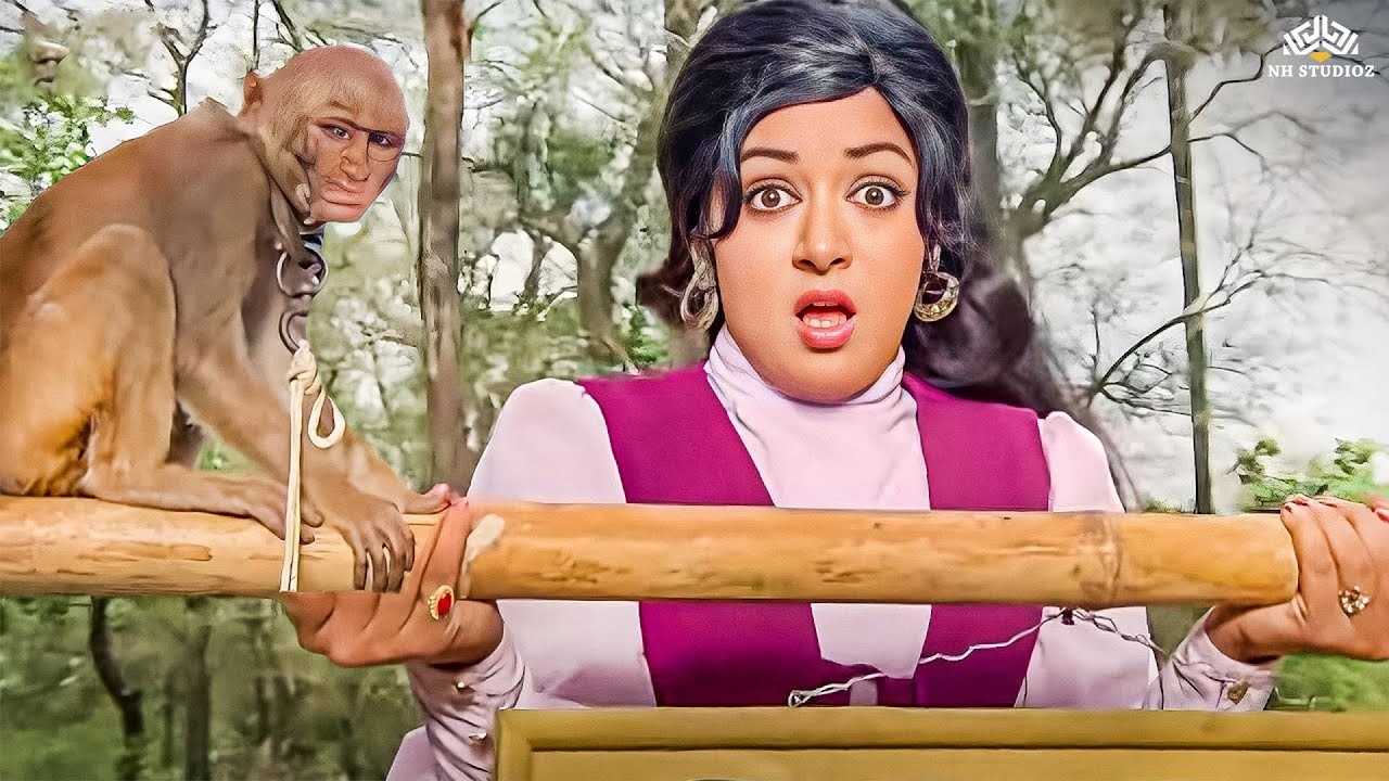 जब बंदर ने हेमा मालिनी को कर दिया परेशान..हँसी रोक नहीं पाओगे! | सीता और गीता मूवी बेस्ट कॉमेडी सीन