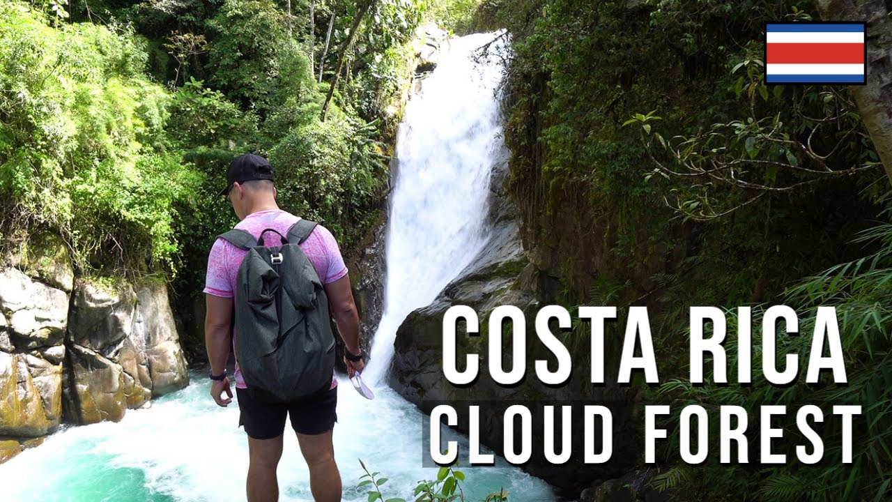 Costa Rica Cloud Forest 🇨🇷 | Cloudbridge Nature Preserve