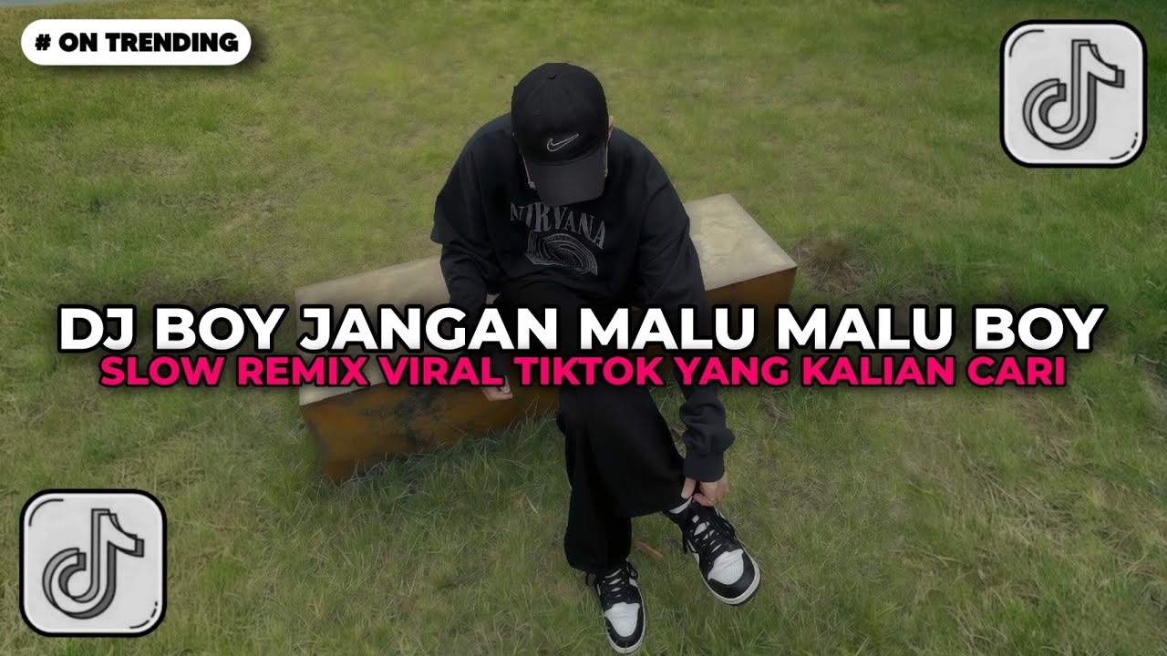 DJ BOY JANGAN MALU MALU BOY MALU MALU DIA REMIX VIRAL TIKTOK TERBARU 2026 !