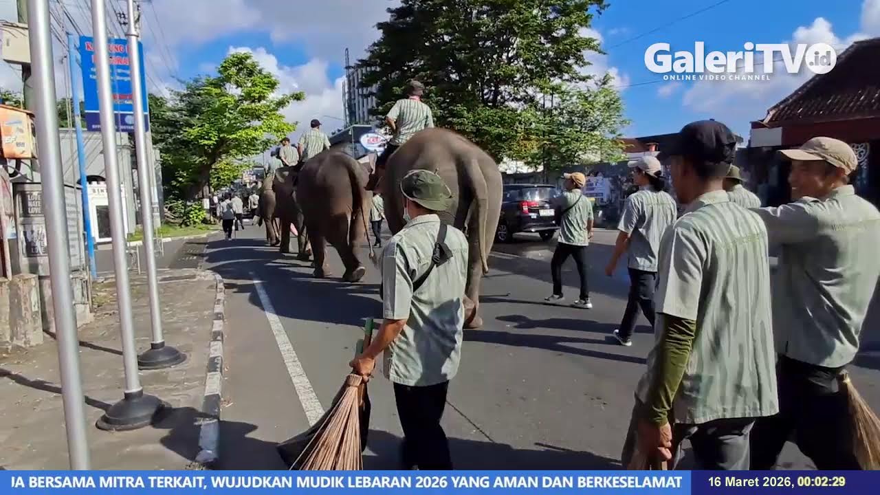 Pemandangan Langka yang Akan Hilang di Garebeg Sawal Tahun Ini | GaleriTV Culture