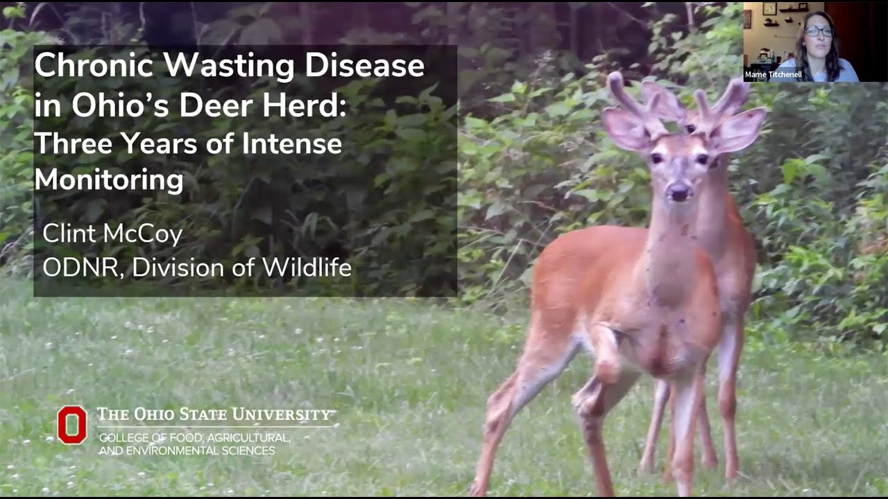 Chronic Wasting Disease in Ohio’s Deer Herd: Three Years of Intense Monitoring