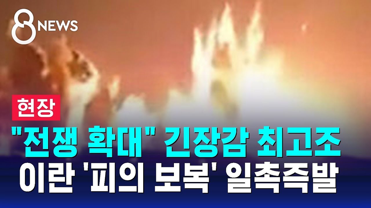 [현장] 
