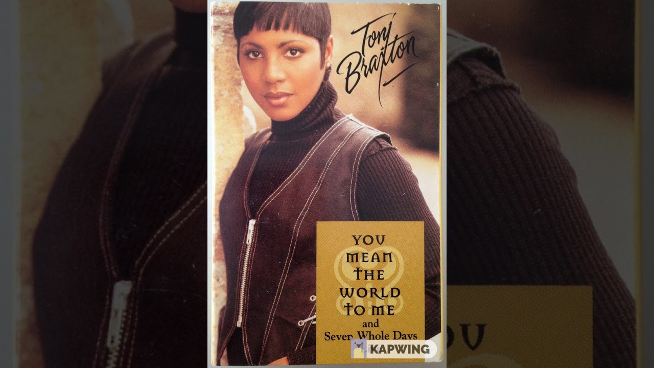 TONI BRAXTON (ACAPELLA) YOU MEAN THE WORLD TO ME