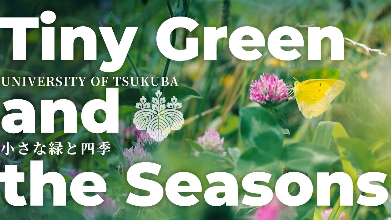 Tiny Green and the Seasons #2: University of Tsukuba｜筑波大学