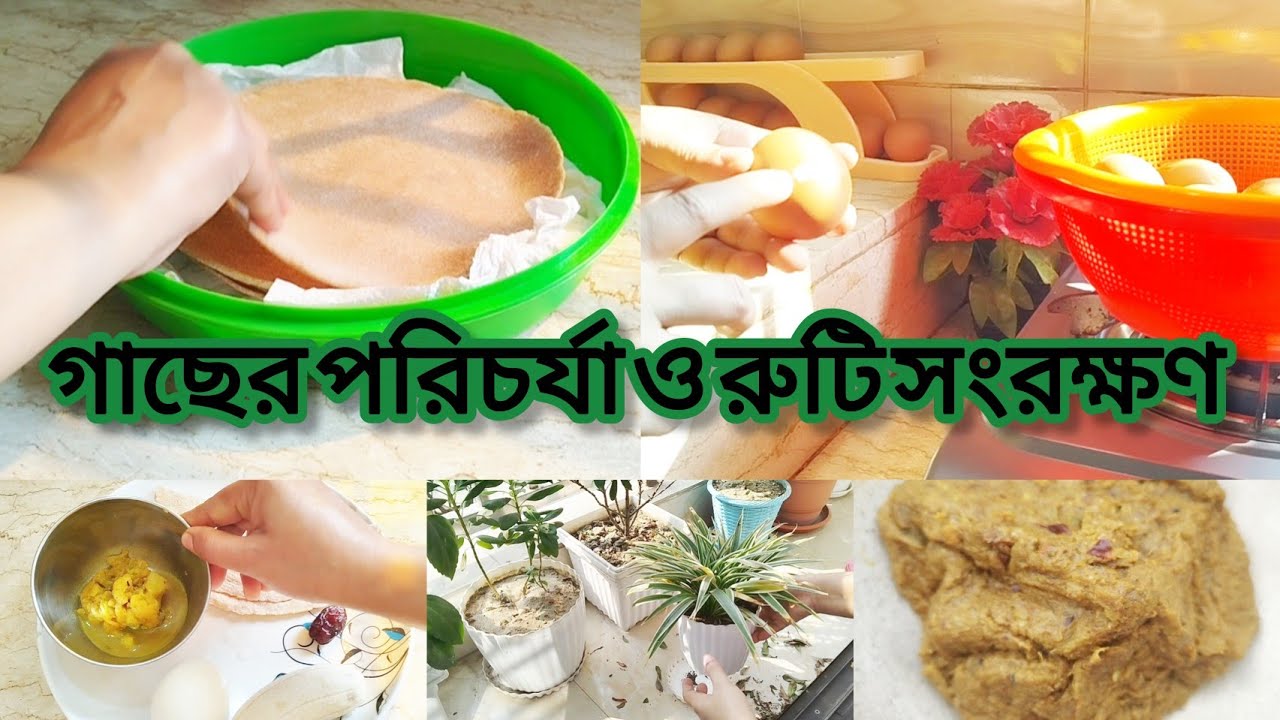 একদিনে সব কাজ শেষ! | রান্না, রুটি সংরক্ষণ ও গাছের পরিচর্যা 🌿 | Daily Vlog