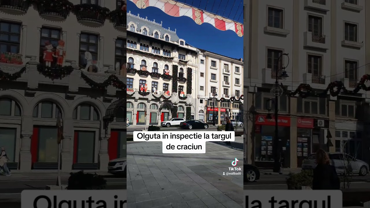 Olguta in inspectie la targul de craciun