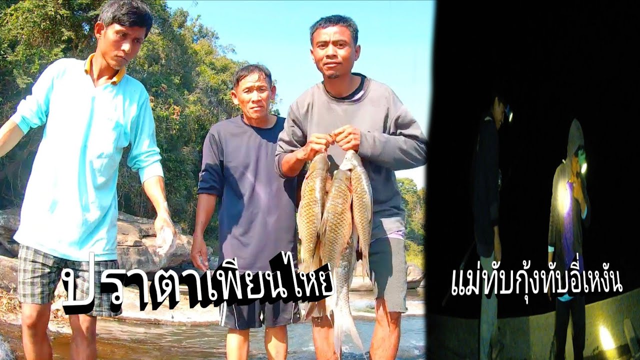 ลงเชนวนมืแลกจัดไป6ตัวเลย//ລົງເຊນວນມື້ແລກຈັດໄປ6ຕົວເລີຍ//พราน ทองแท้//23.ม.ค.2026