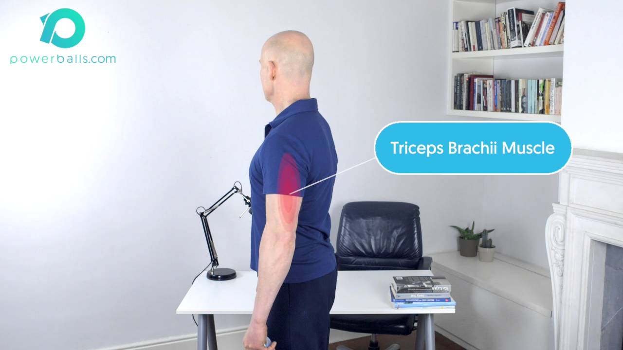 Exercise The Shoulder Extensors