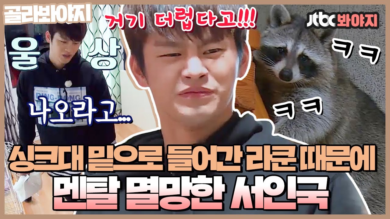 [골라봐야지][ENG] 낯가리면서 사고는 씽크빅으로 저지르는 라쿤에 멘탈 멸망한(?) 서인국｜마리와나｜JTBC 151223 방송 외