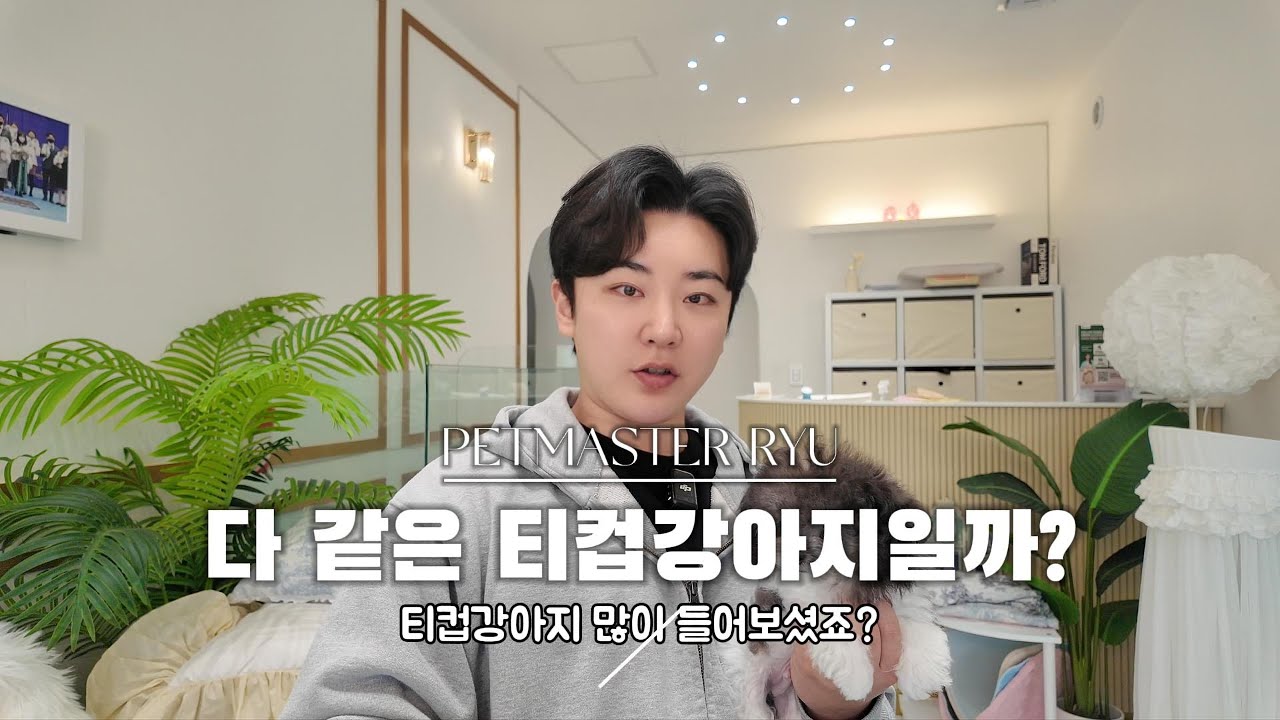 작은 강아지, 다 같은 티컵이 아닙니다｜티컵·타이니·미니 기준 완벽 정리