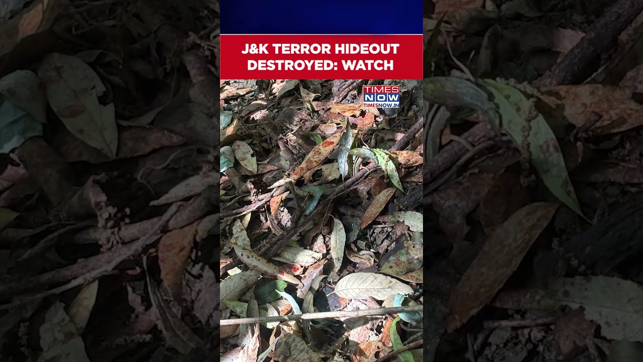 J&K: Watch Indian Forces Destroy Terrorist Hideout In Rajouri Anti Terror Operation | #shorts