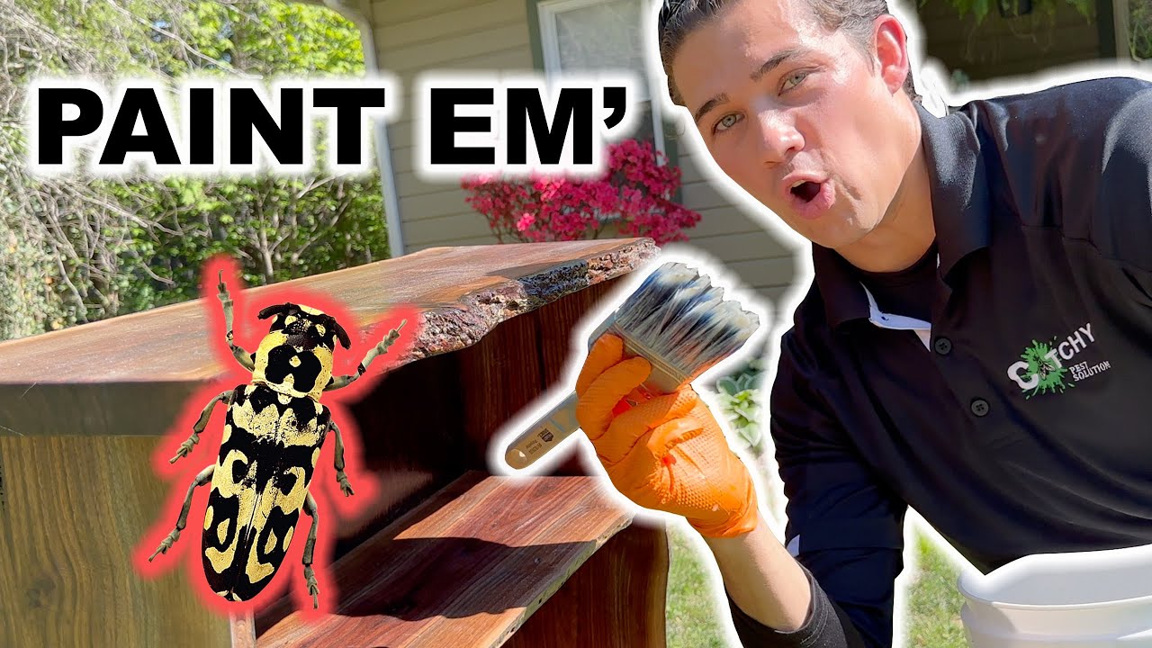 Get Rid of Wood Boring Beetles with BoraCare