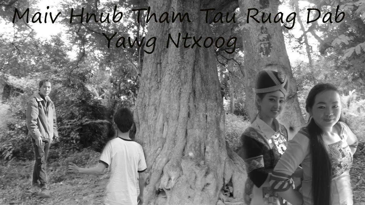 Oct 10, 2024 Maiv Hnub Tham Tau Nraug Dab Deev Raug Nraug Ntxoog