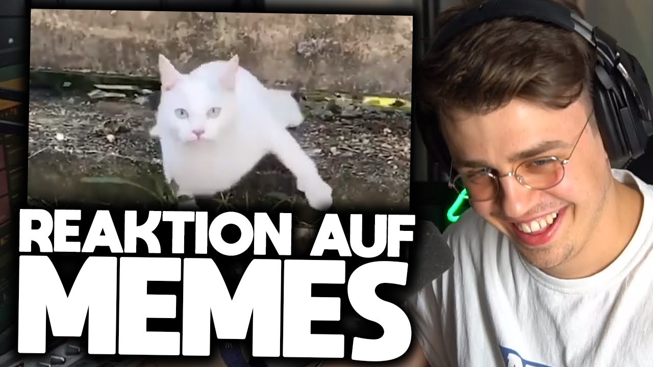Reaktion auf UNUSUAL MEMES 😂👌🏼 | Papaplatte Highlights