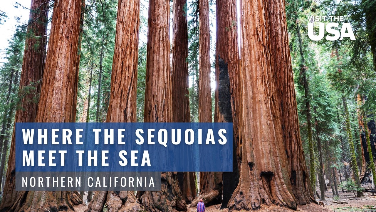 A Nature Lover&rsquo;s Dream Destination | My Northern California Story