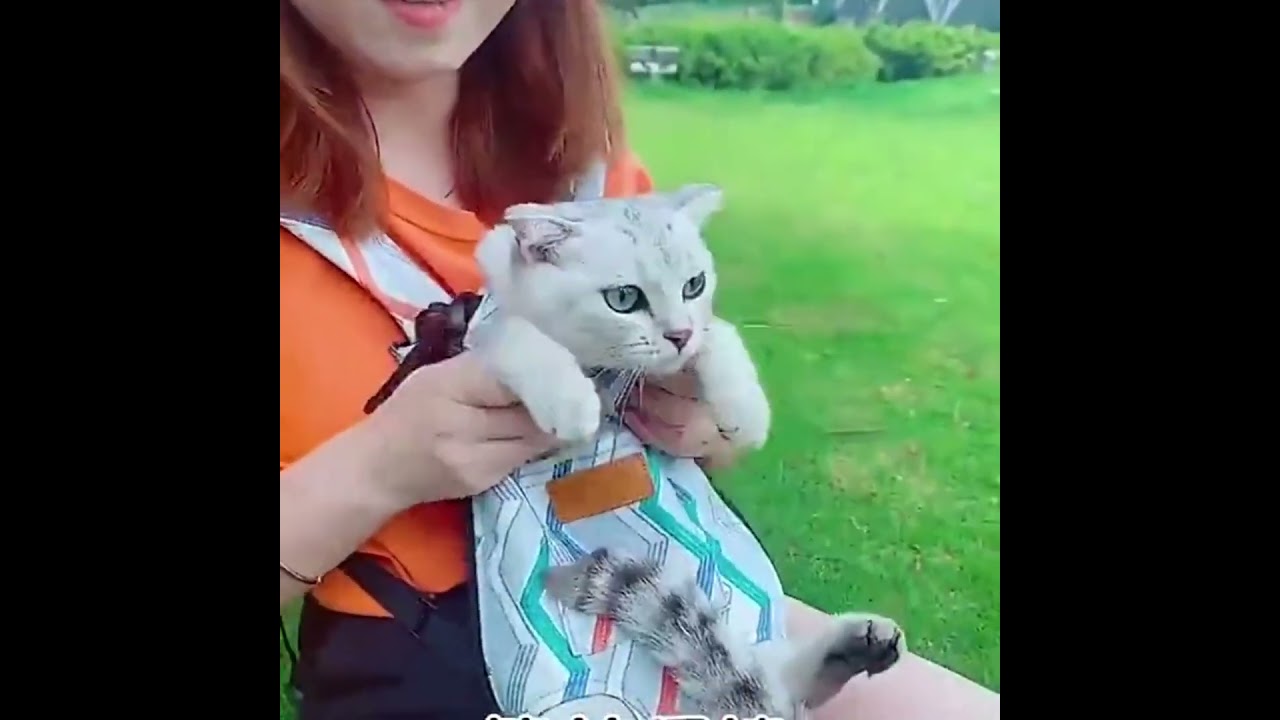 Cat Carrier Front Pack Sling Bag🌿😻