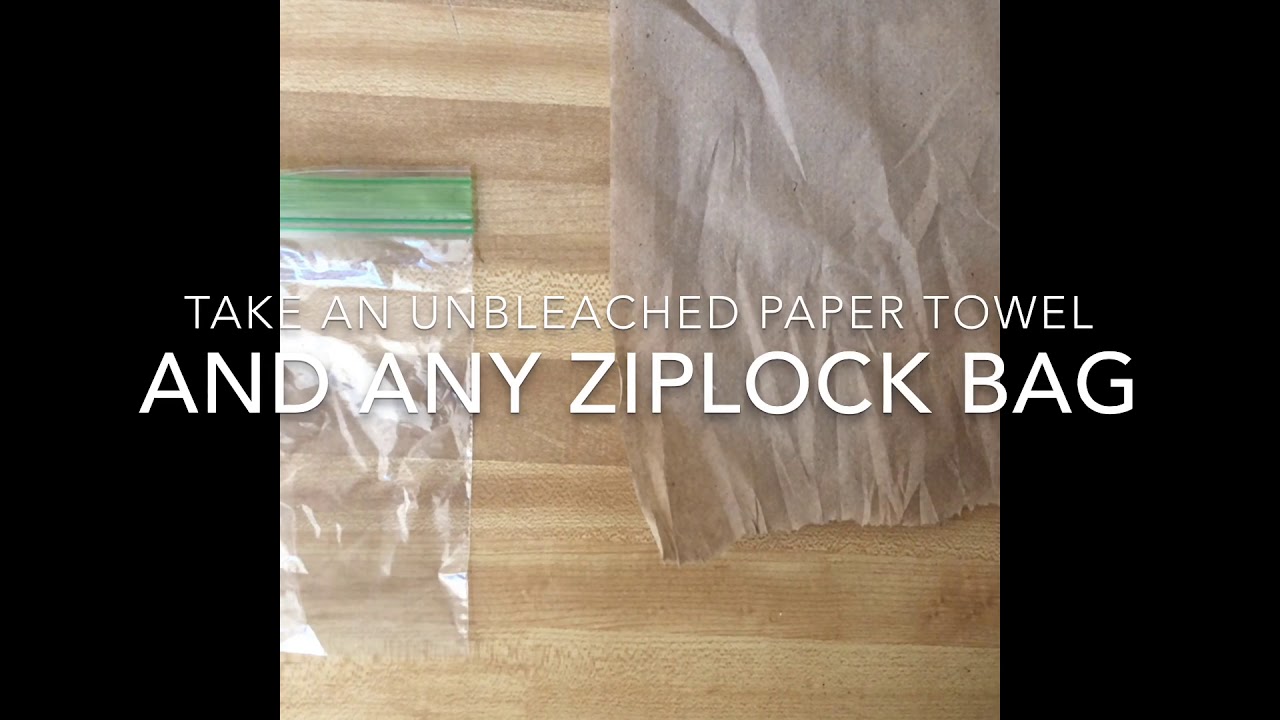 How to germinate Cannabis seeds - MADE EASY