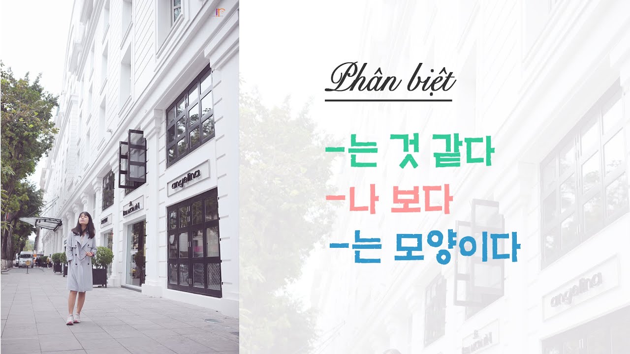 Phân biệt -는 것 같다, -나 보다, -는 모양이다 | Ngữ pháp Tiếng Hàn | Park HA Offcial