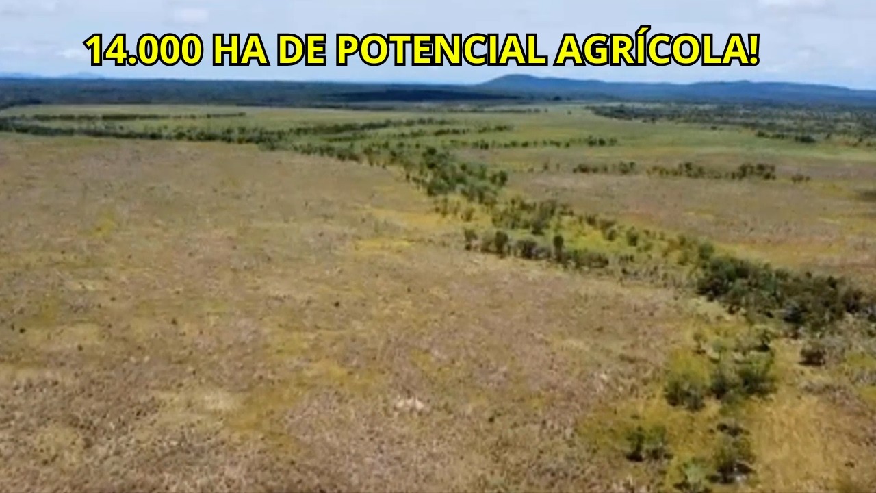 Fazenda à Venda TO – 5 888 Alqueires  Potencial para Grãos e Pecuária