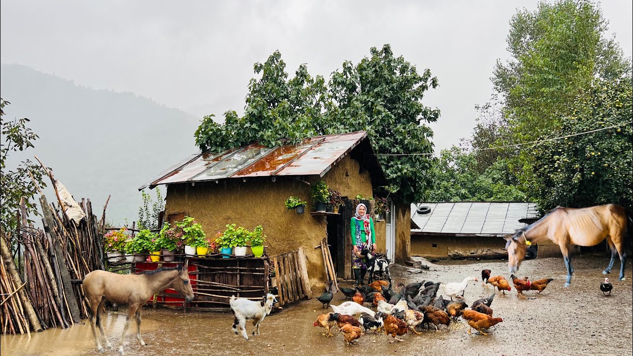 Rainy Day in a Northern Iranian Village | Helping Neighbors & Caring for Animals
