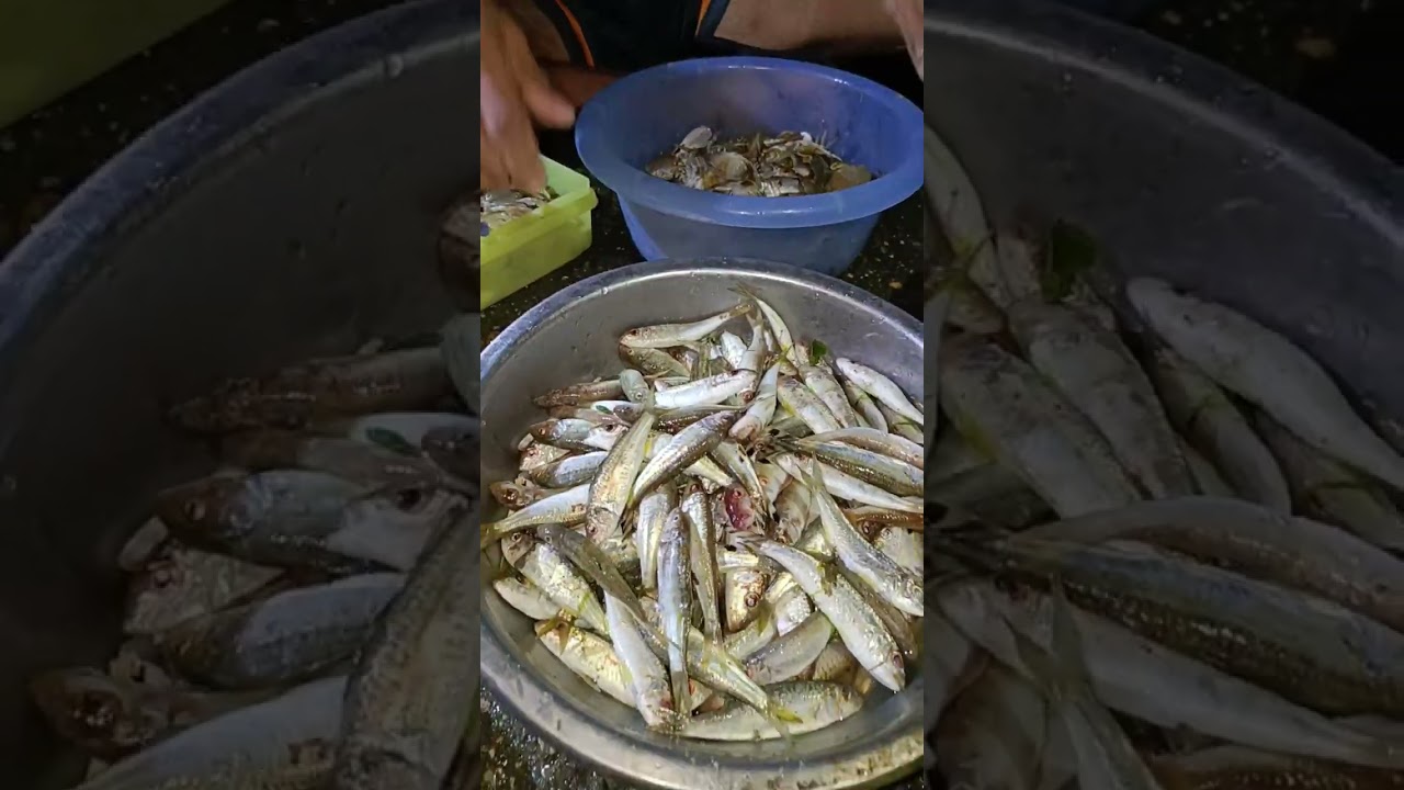 Kahit napaka lamig tuloy parin sa Pag hanap ng ma  e ulam at ito aming mga nahuli sari saring isda.