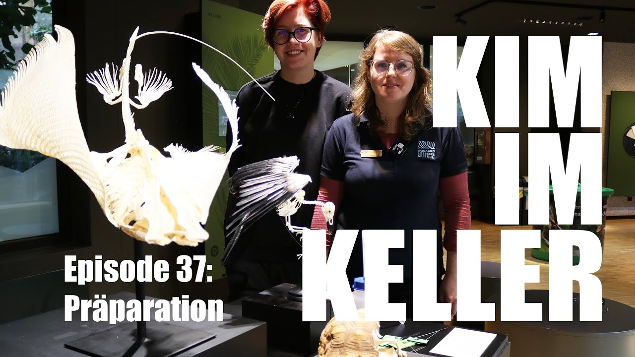 Kim im Keller - Episode 37: Präparation