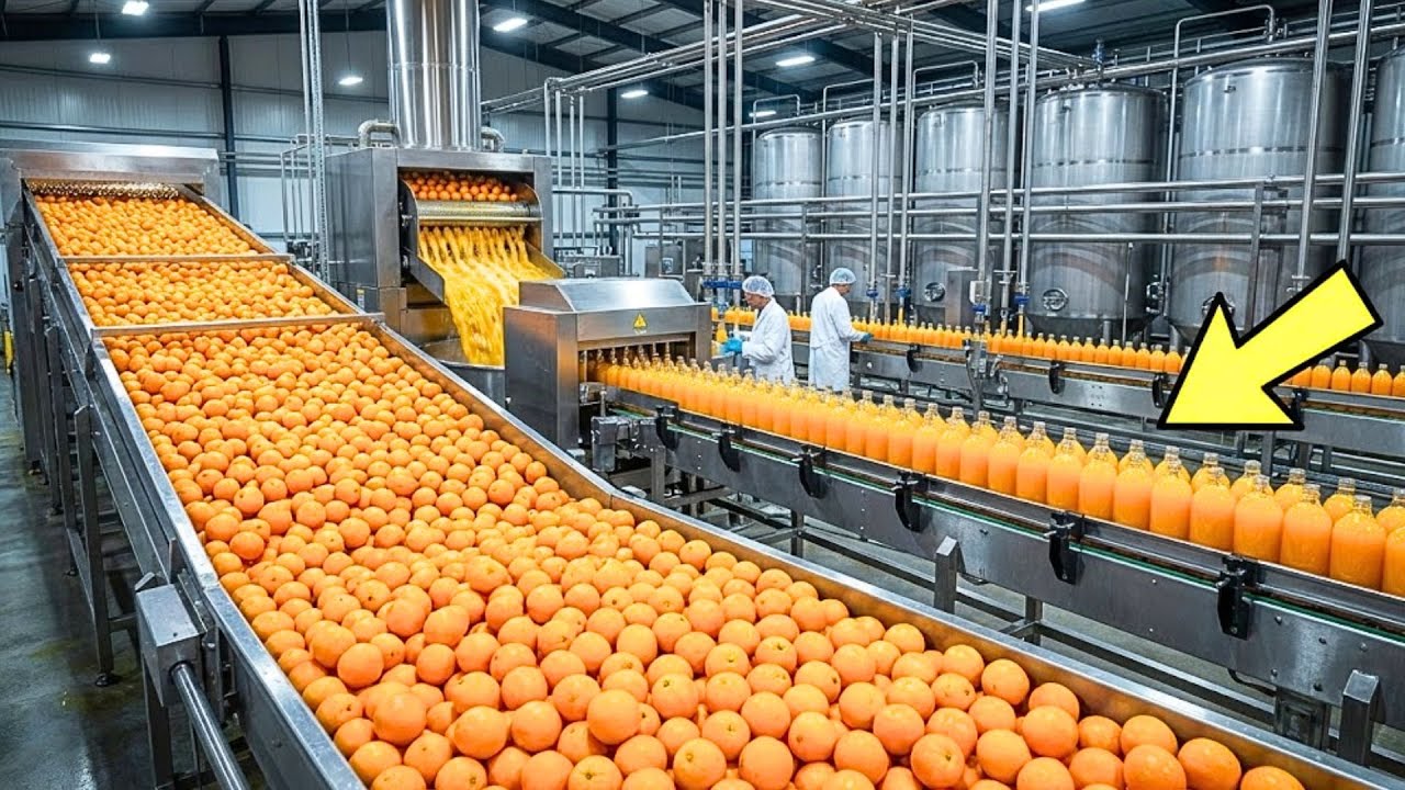 How It's Made the Mass Production of Orange Juice in Mega Factory