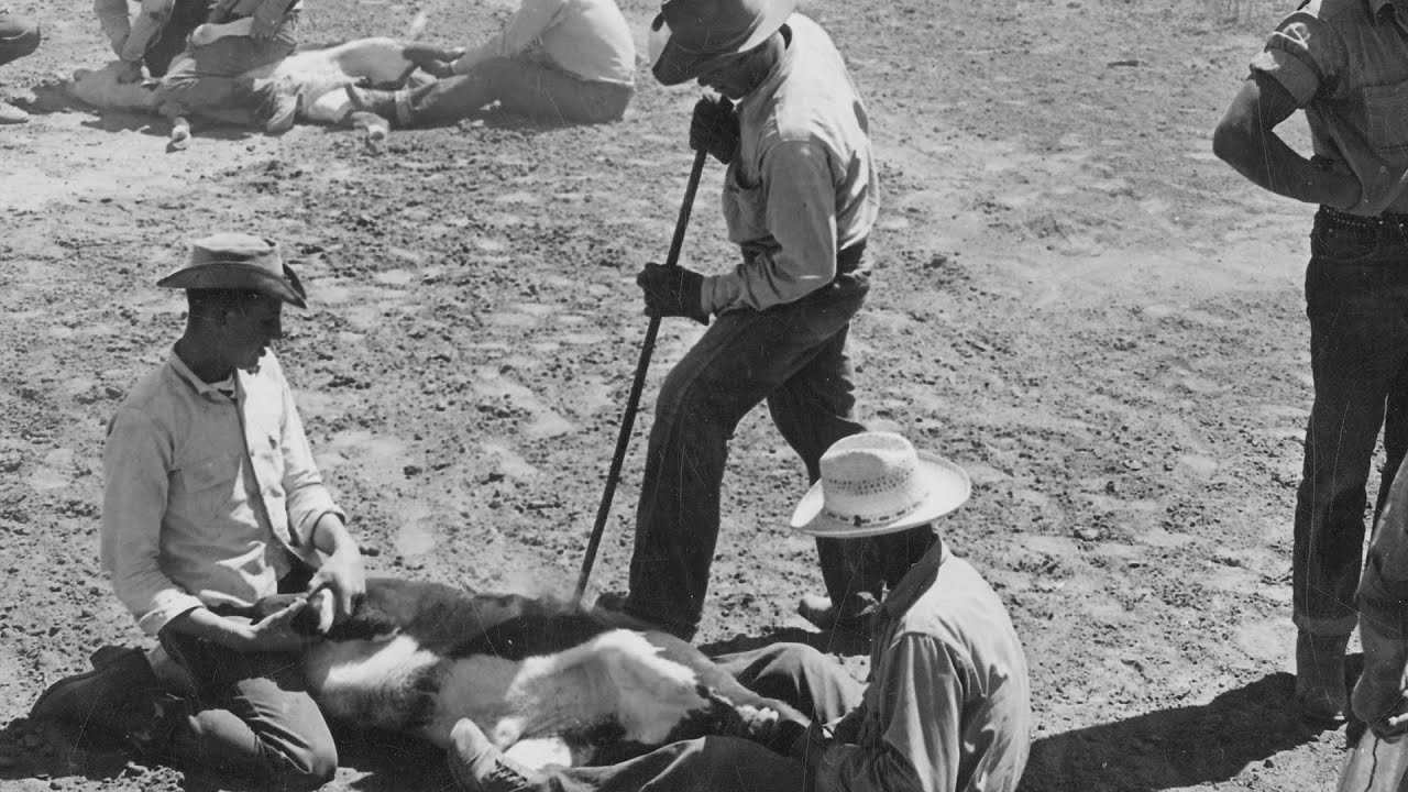 History of Branding: Irons in the Fire