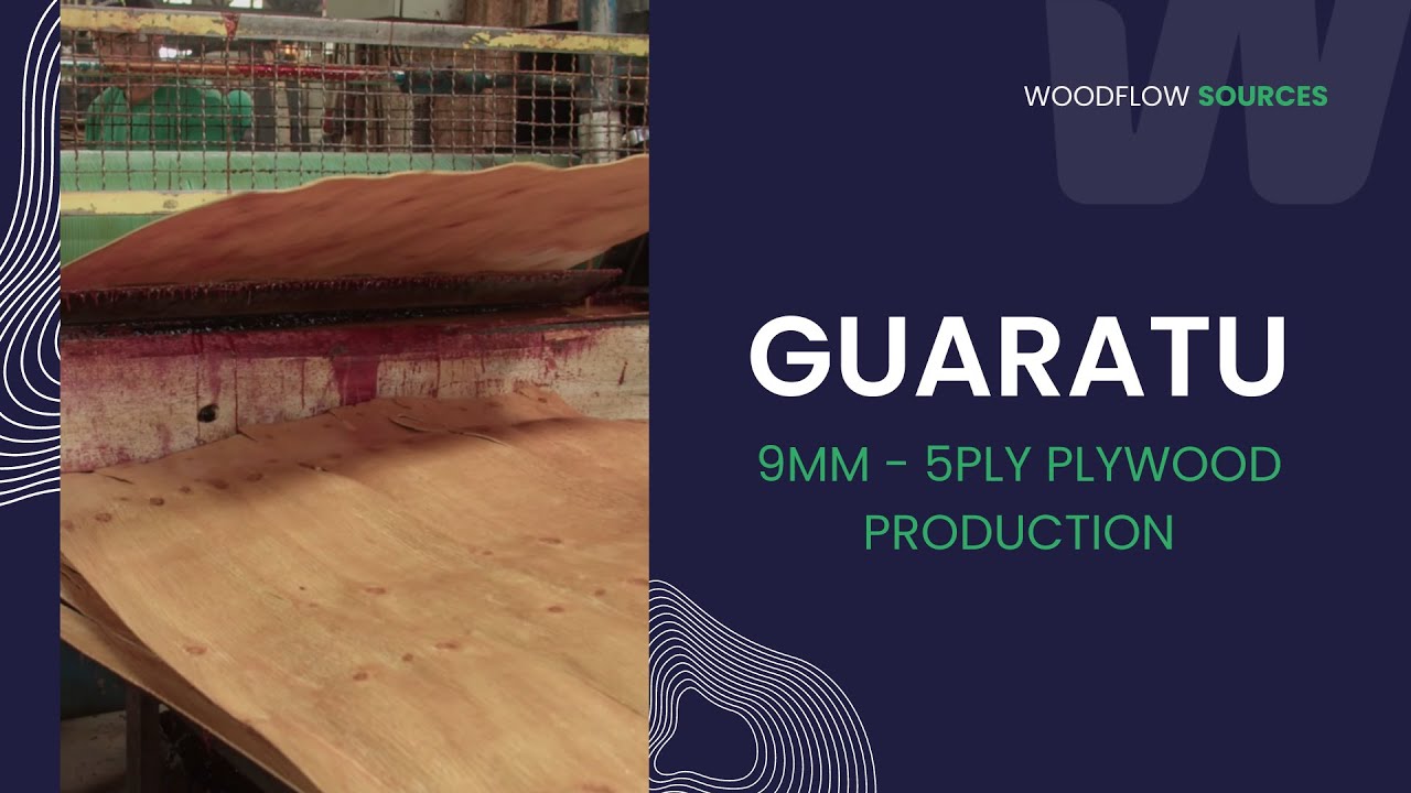 Mastering 9mm 5 Ply Plywood Production: Visit Guaratu Compensados