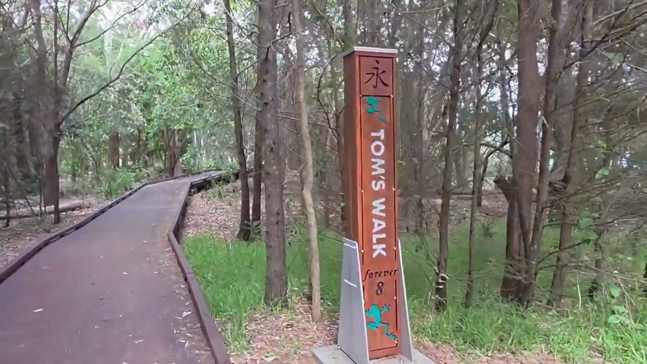 Welcome to our Hervey Bay Queensland Australia 🇦🇺 