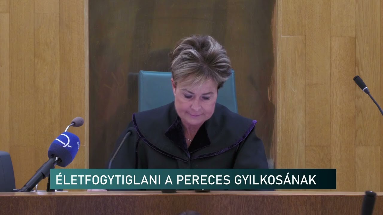 Felmentést akart, életfogytiglanit kapott - Elítélték a pécsi pereces gyilkosát_2026.01.27.