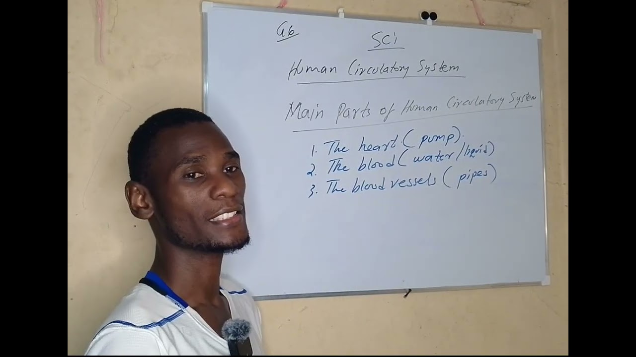 Grade 6 Science and Technology: The Human Circulatory System 