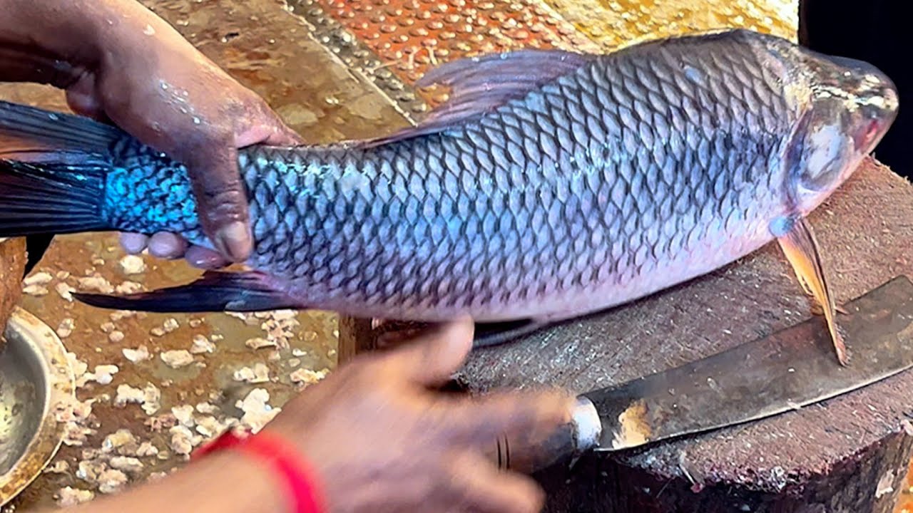 Amazing Big Rohu Fish Cleaning & Chopping By Expert Fish Cutter In Fish Market Bangladesh