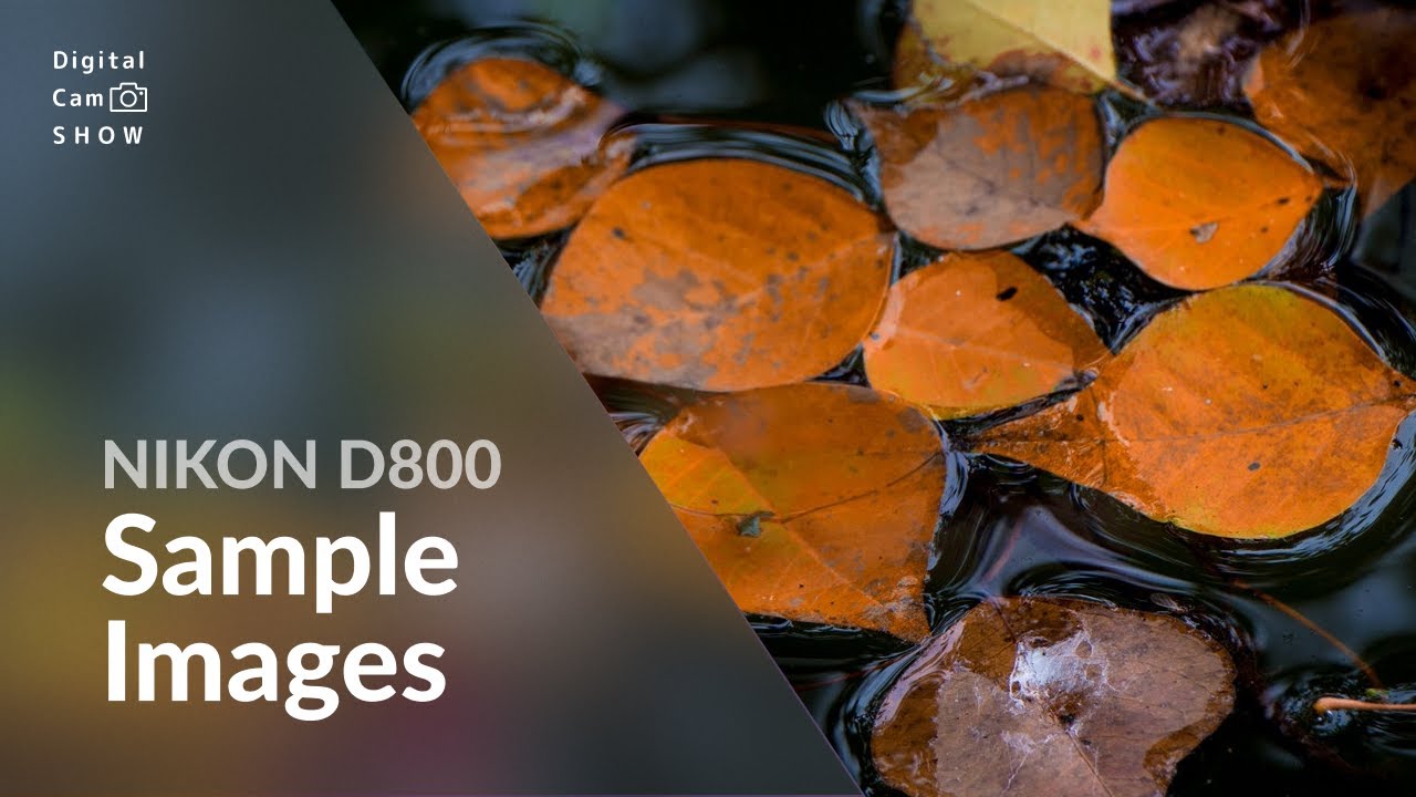 Nikon D800 Sample Images With Camera Settings in photography