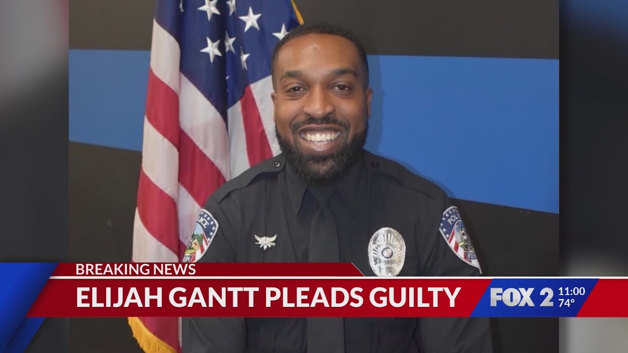 Man pleads guilty to assaulting Ferguson police officer