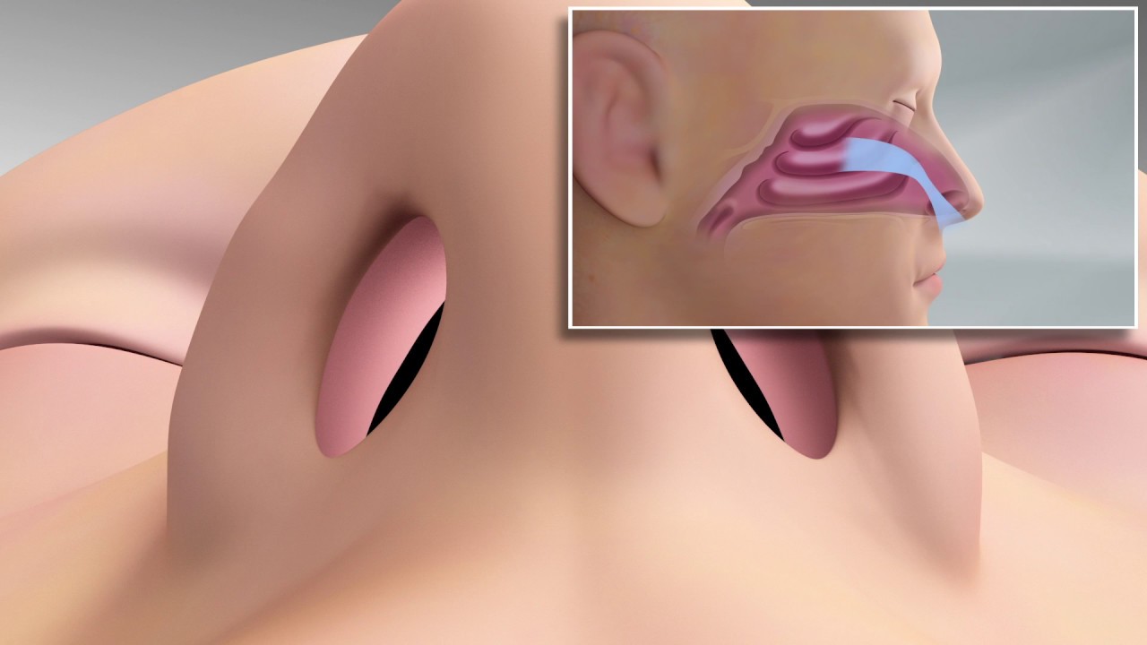 Spirox: LATERA product animation