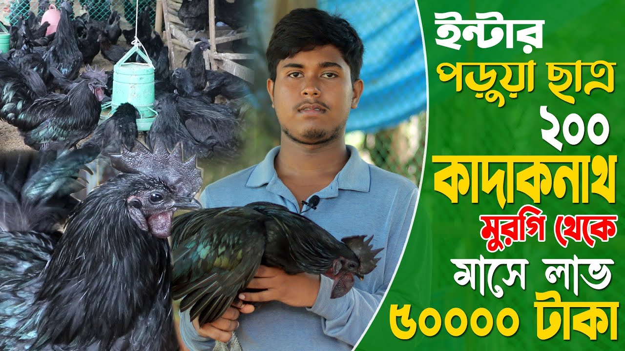ইন্টার পড়ুয়া ছাত্রের কাদাকনাথ মুরগির খামার | ২০০ মুরগি মাসে লাভ ৫০০০০ টাকা | kadaknath murgi palan