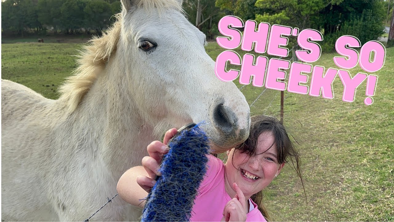 MEETING A VERY CHEEKY PONY