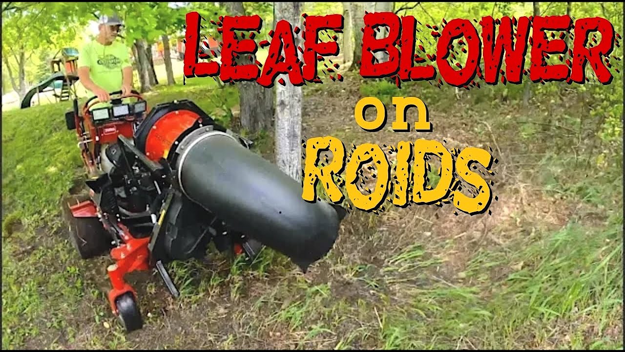 A LeafBlower on 
