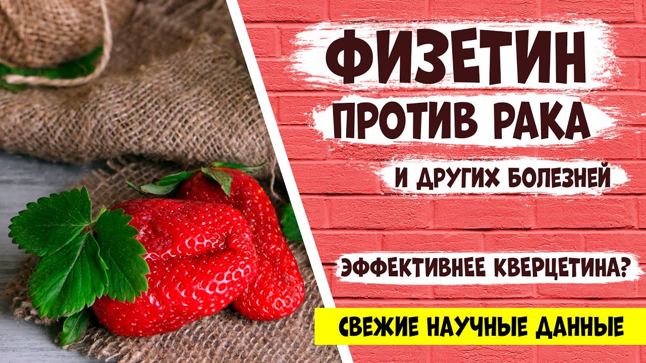 ФИЗЕТИН: более эффективный 
