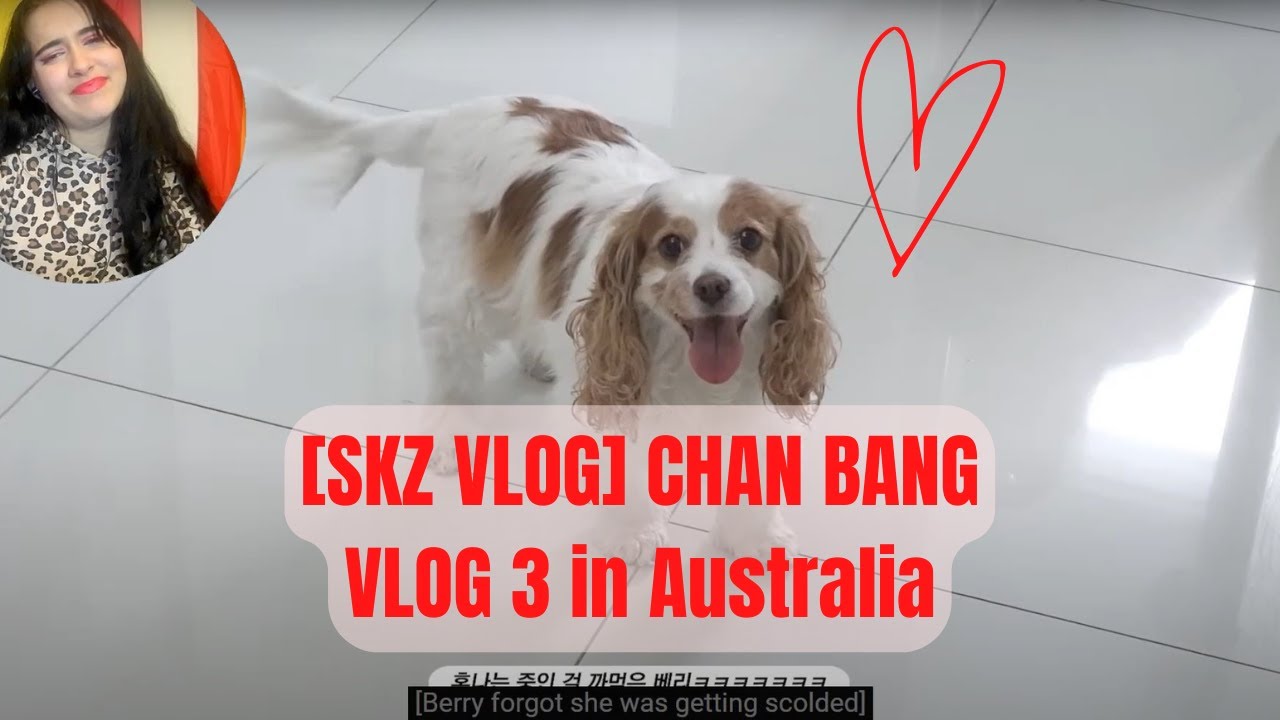 Love Him So Much ❤️ | [SKZ VLOG] CHAN BANG VLOG 3 in Australia STAY REACTION