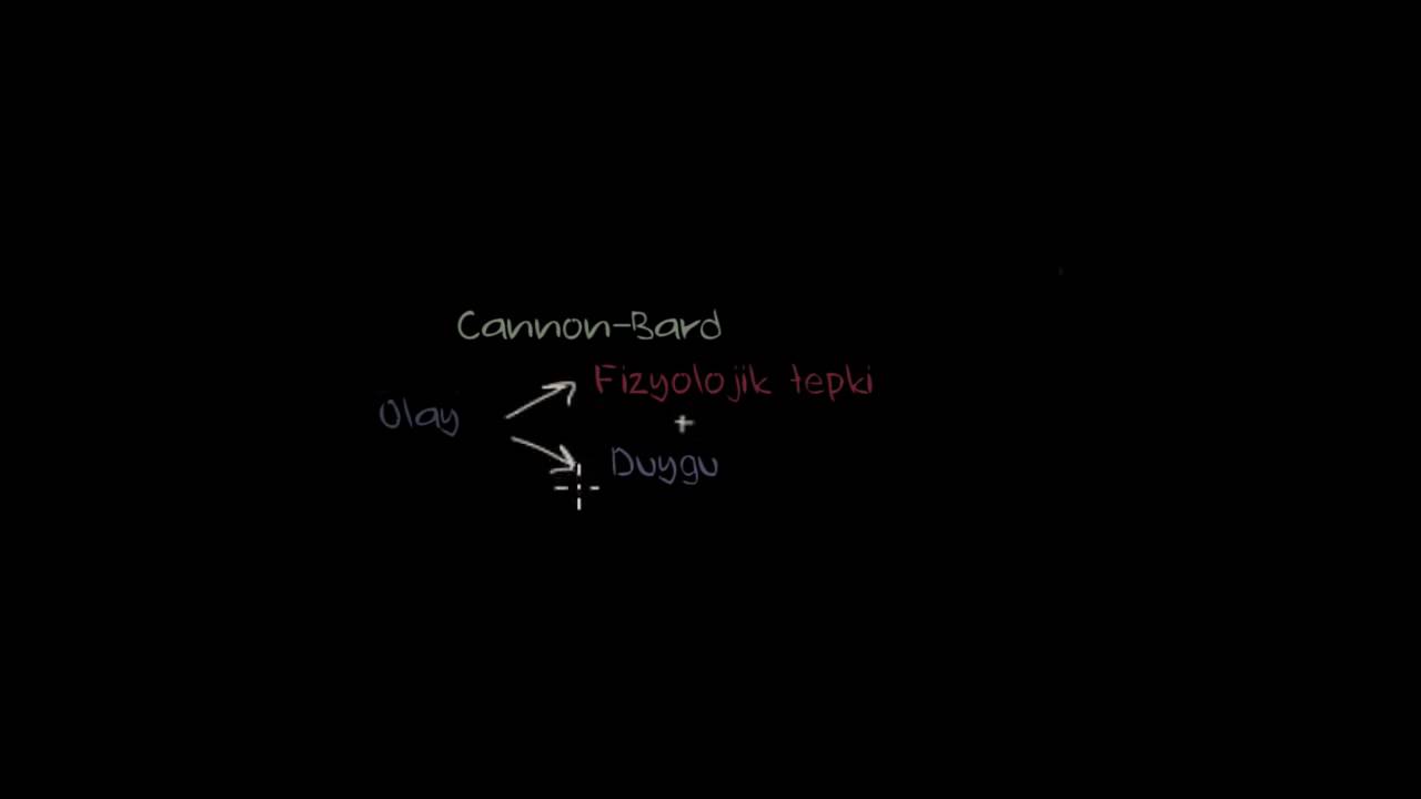 Duygu Teorileri (Psikoloji / Çevreyi Algılama)