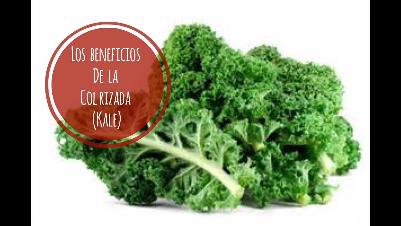 17 Beneficios De La Col Rizada ( Kale). Nutrivlogs. Asesoria Nutricional