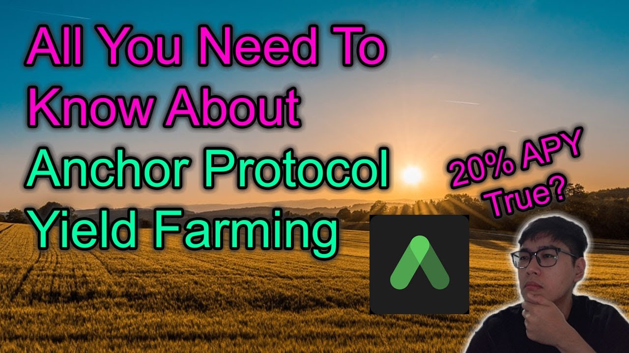 All You Need To Know About Anchor Protocol DeFi Tips & Guide | 💰20% APY Serious?!