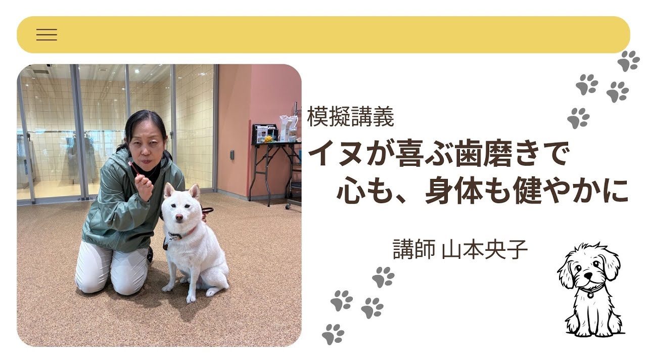 【#愛玩動物看護師】〖教えてヤマ短！みんなのQコーナー〗上手にはみがきがしたい！イヌが喜ぶ歯磨きで心も、身体も健やかに🦷 #動物看護 #グルーミング #ドッグトレーニング