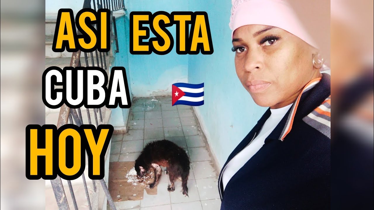 Animales y personas callejeras , con mucho frio y hambre 🥶  en las calles , temperaturas bajas 🇨🇺
