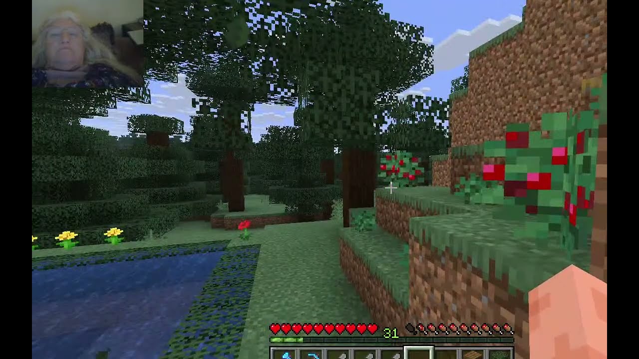 Still Quietly puttering at  Grandma's Minecraft Nancy Today ep 511